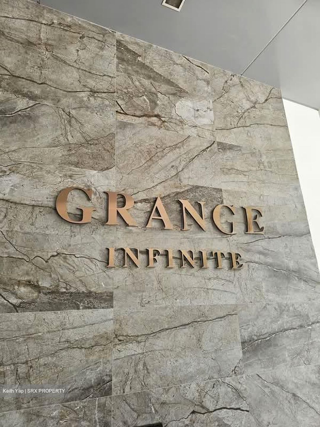 Grange Infinite (D9), Condominium #583939261